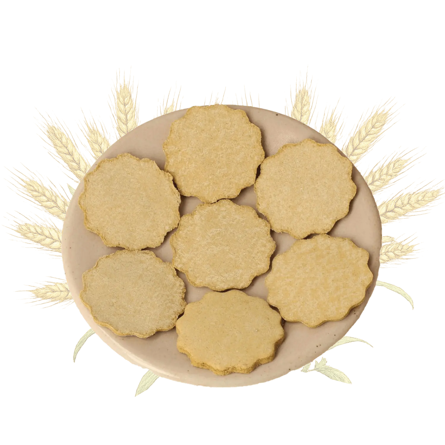 Spelt Gemberkoekjes koekjes